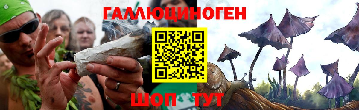 Псилоцибиновые грибы Cubensis Энгельс